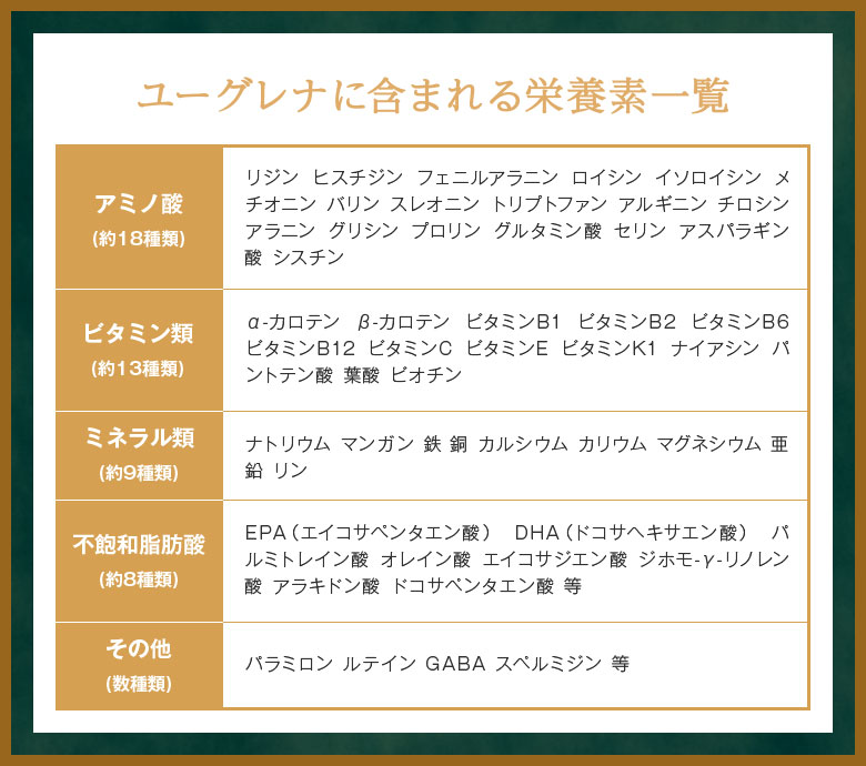 ユーグレナに含まれる栄養素一覧