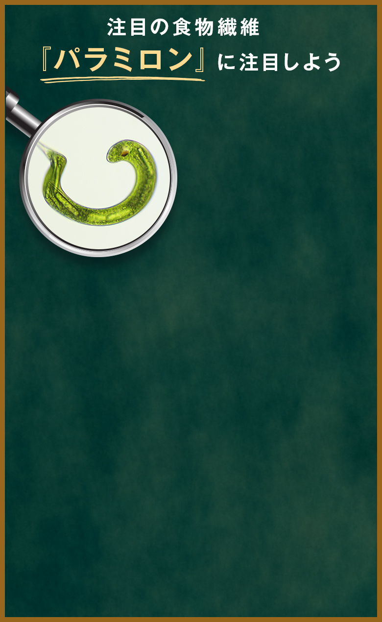 たたかう食物繊維