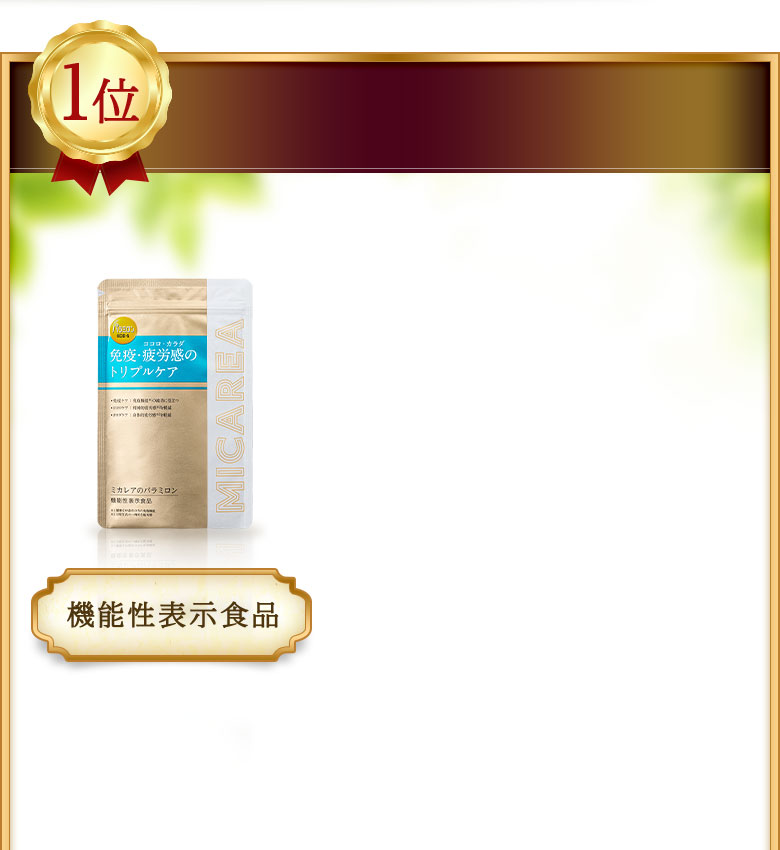 「ミカレアのパラミロン」