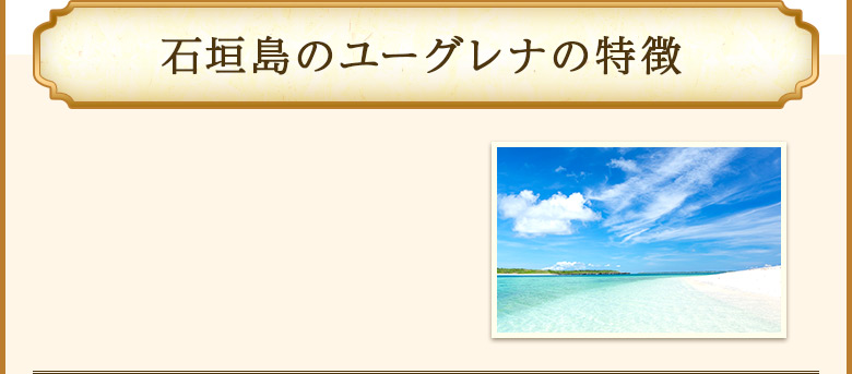 ユーグレナの緑汁の特徴