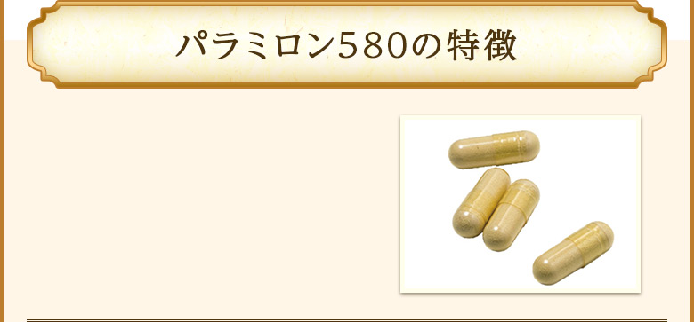 パラミロン580の特徴