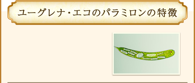 ユーグレナ・エコのパラミロンの特徴