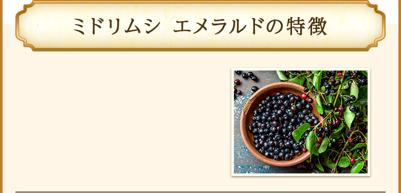 ミドリムシ エメラルドの特徴